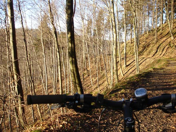 Mountainbiken Harz, Froehlich-Harz