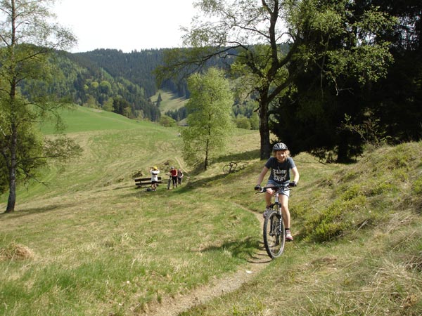 Mountainbiken Harz, Froehlich-Harz, Bad Grund, oberhalb Wildemann