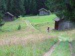 Mountainbiken Harz- Froehlich-Harz